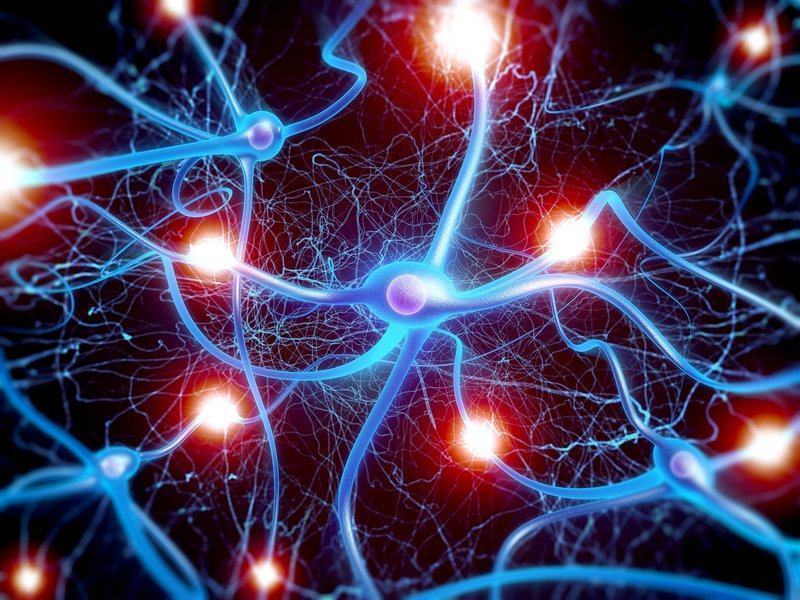 Tìm hiểu về tế bào thần kinh (Noron thần kinh) - Thuốc Thảo Mộc