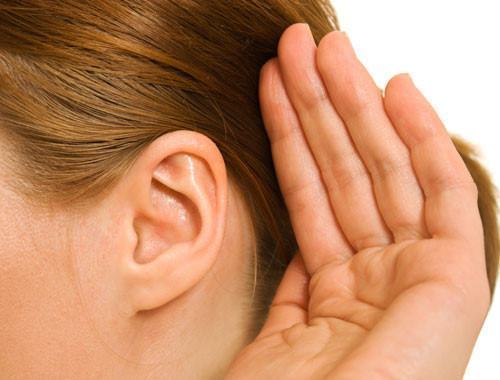 Cấu tạo của tai người - vì sao tai nghe được âm thanh? - Thuốc Thảo Mộc