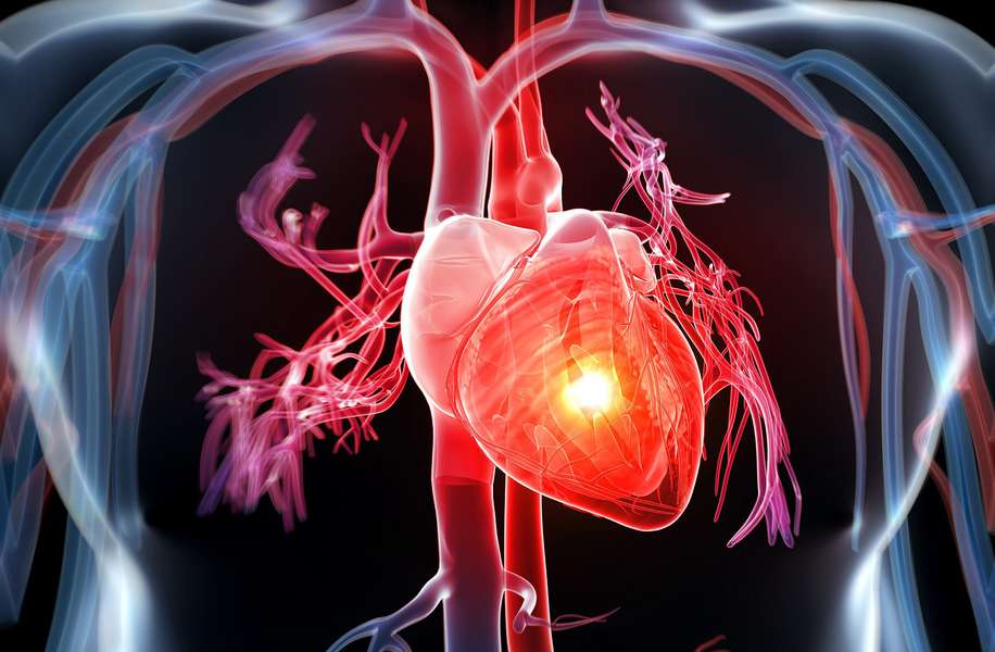 Suy tim: Nguyên nhân, triệu chứng, chẩn đoán và điều trị